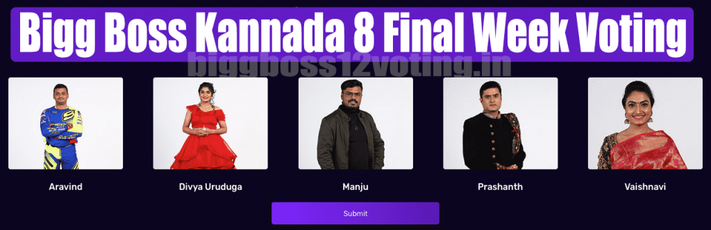 Bigg Boss Kannada 8 Finale Voting