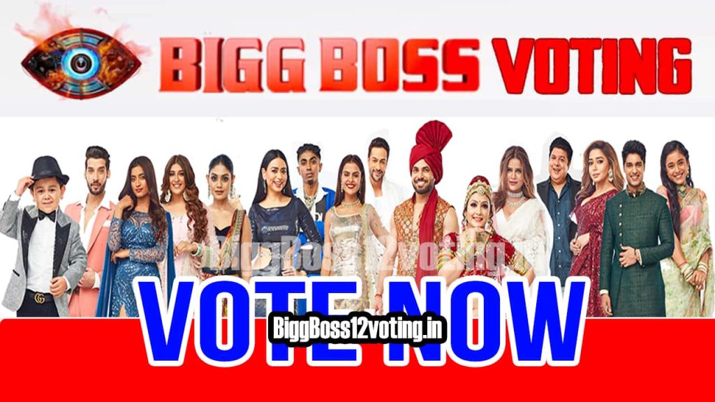 Gå rundt Indsigtsfuld binding Bigg Boss 16 Finale Week Voting BB 16 Live Poll Colors Bigg Boss Vote  Online Voot